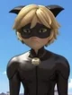 Cat Noir 