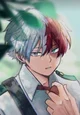 Shoto Todoroki