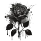 Dark Rose