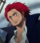 Shanks BR