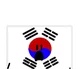South Korea Flag