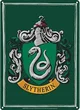 Slytherin guys