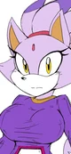 Blaze the cat