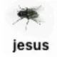 jesus fly