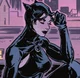 Catwoman Selina Kyle