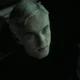 Draco malfoy 