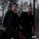 TVD