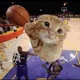 cat is ballin