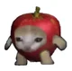 Apple cat