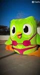 Duolingo 