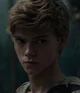 Newt - maze runner