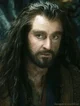 Thorin Oakenshield