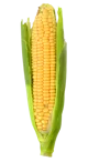 Bambis corn
