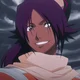 Yoruichi Shihouin