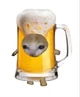 Pivnoy cat