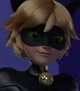 Chat Noir