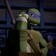 Donatello Hamato