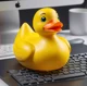 RubberDuckDebugging