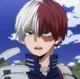 Shoto Todoroki