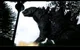 Godzilla 1st form