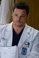 alex karev