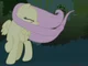 Fluttershy