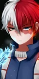 Todoroki 