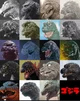 A bunch of godzillas