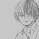 Shoto Todoroki 