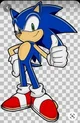 Sonic the hedgehog