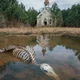 Abandoned Church