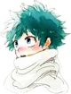 Izuku Midoriya