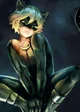Chat Noir