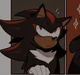 Shadow the hedgehog