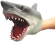 Sharkey boi