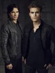 TVD 