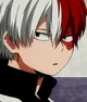-Shoto Todoroki- 