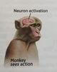 Neuron Activation