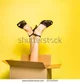 Feet In Box