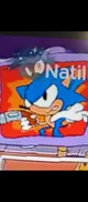 Sonic with a Gun