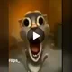 Creepy talking Tom