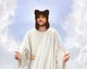 jesus catboy