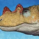 Ceratosaurus