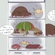 Filled Fridge