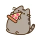 Pusheen the cat