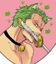 Roronoa Zoro 
