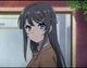 Mai Sakurajima