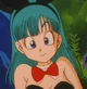 Bulma Brief