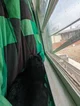 Lucas the window Cat