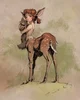 Cervitaur fawn